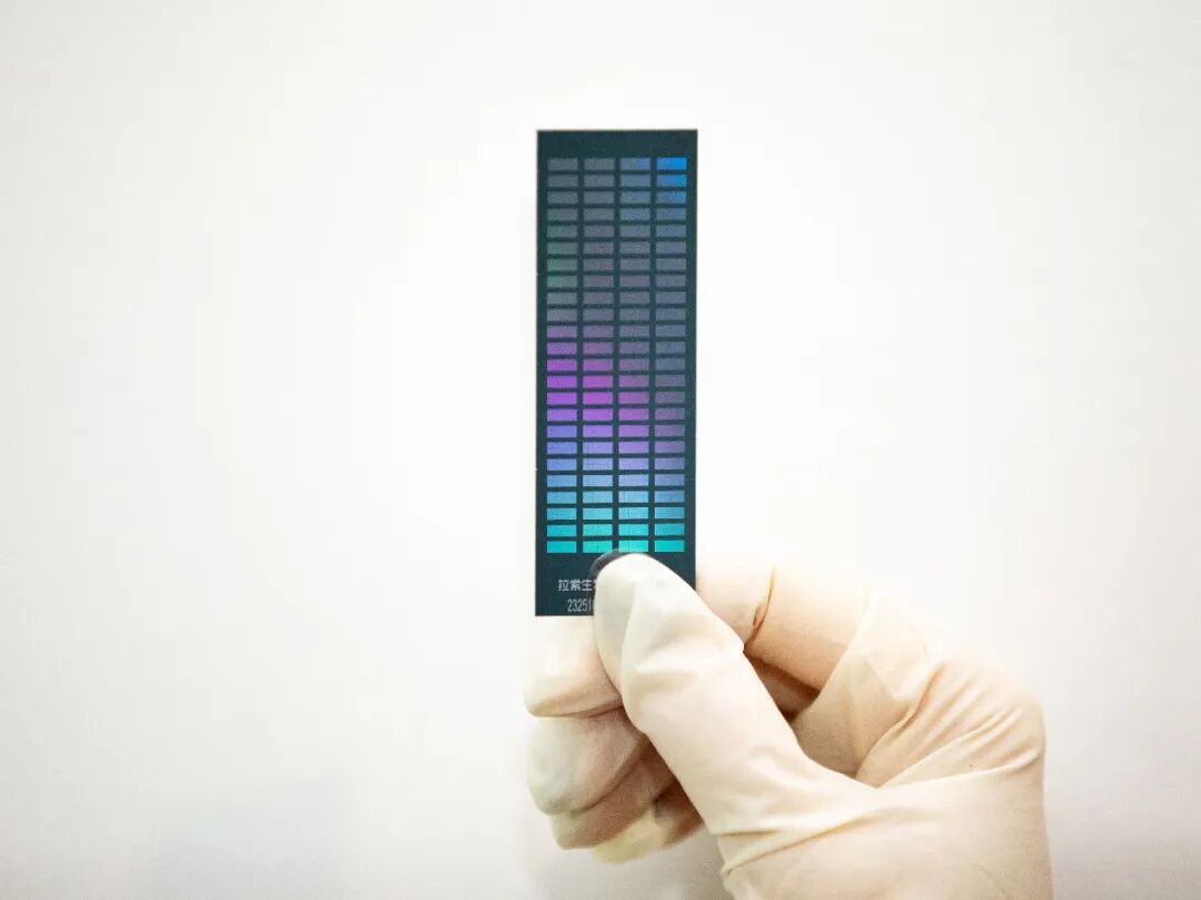 1773731254505809.jpg 微信图片_20260317150253_168_8.jpg