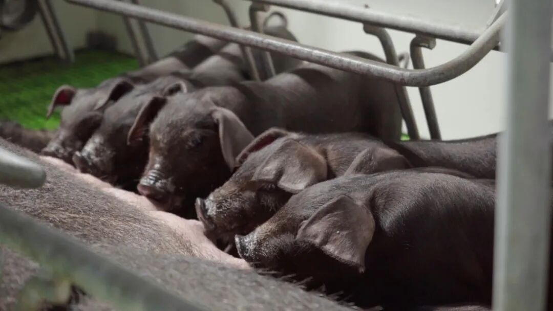 1773731287275945.jpg 微信图片_20260317150252_167_8.jpg