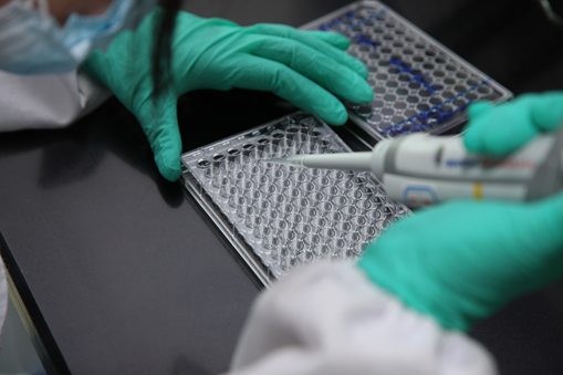 1773731338874912.png 微信图片_20260317150251_166_8.png